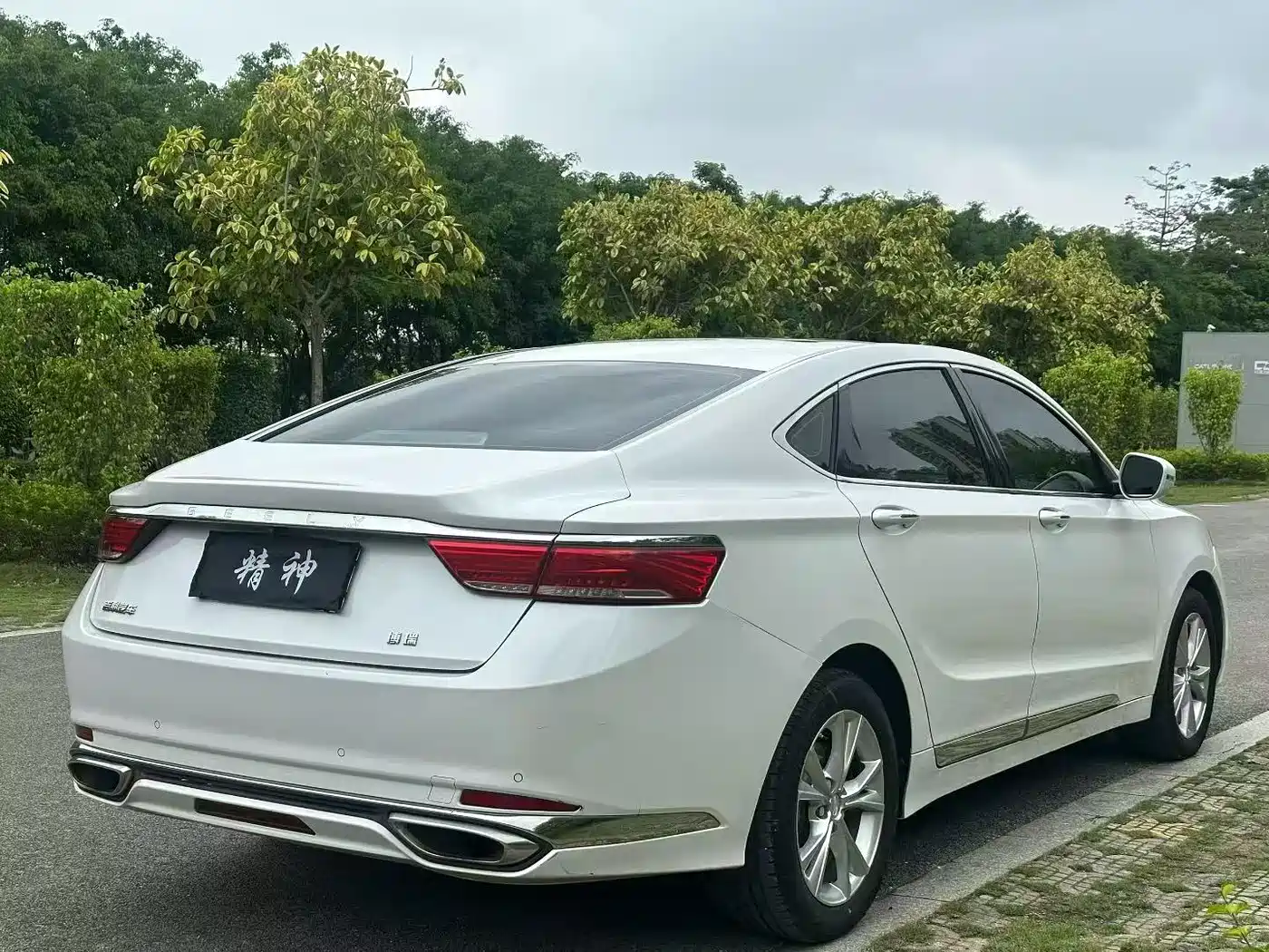 Фото 4 - Geely Borui