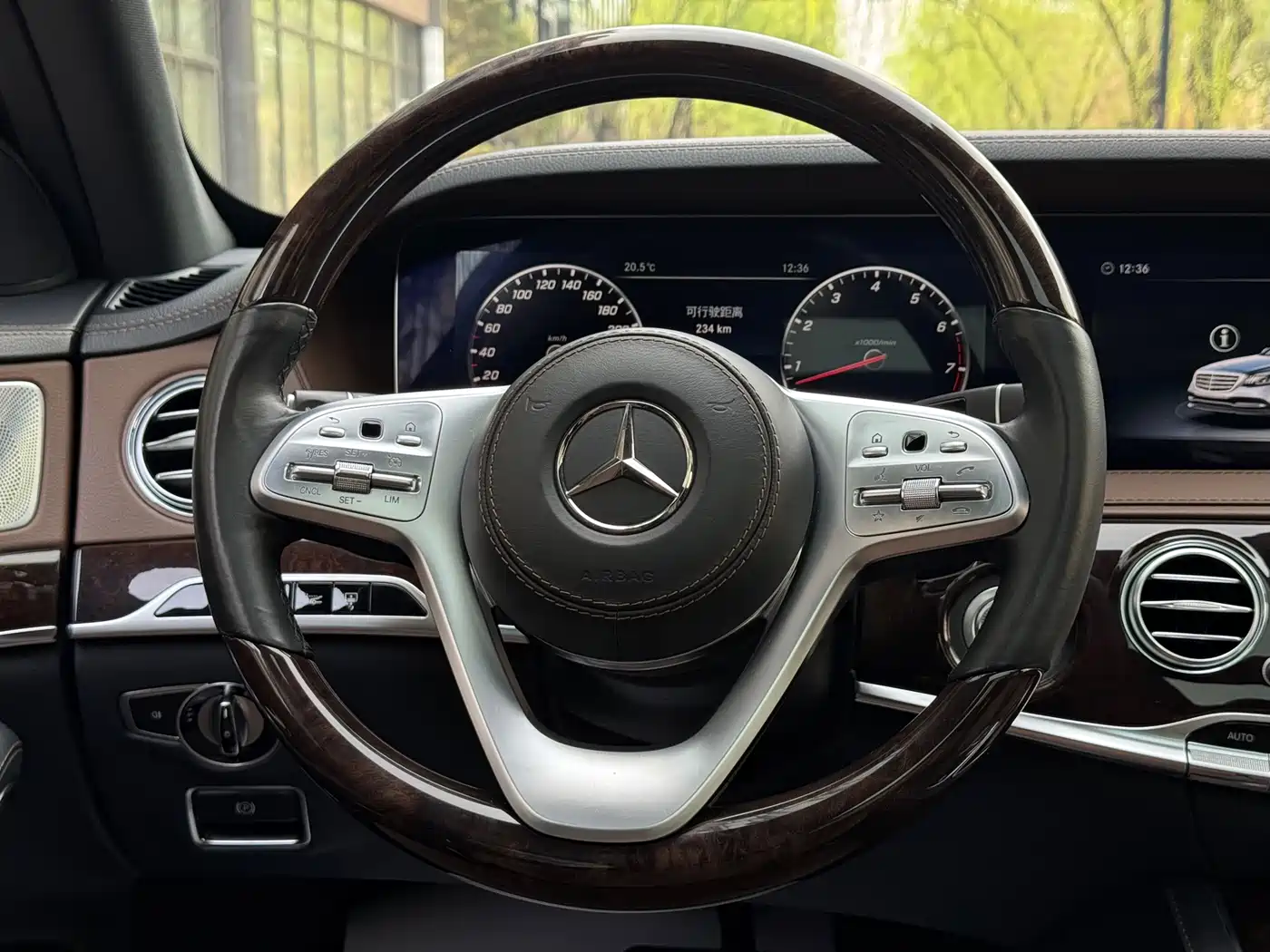 Mercedes-Benz S-Class 2018 S 350 L фото 18