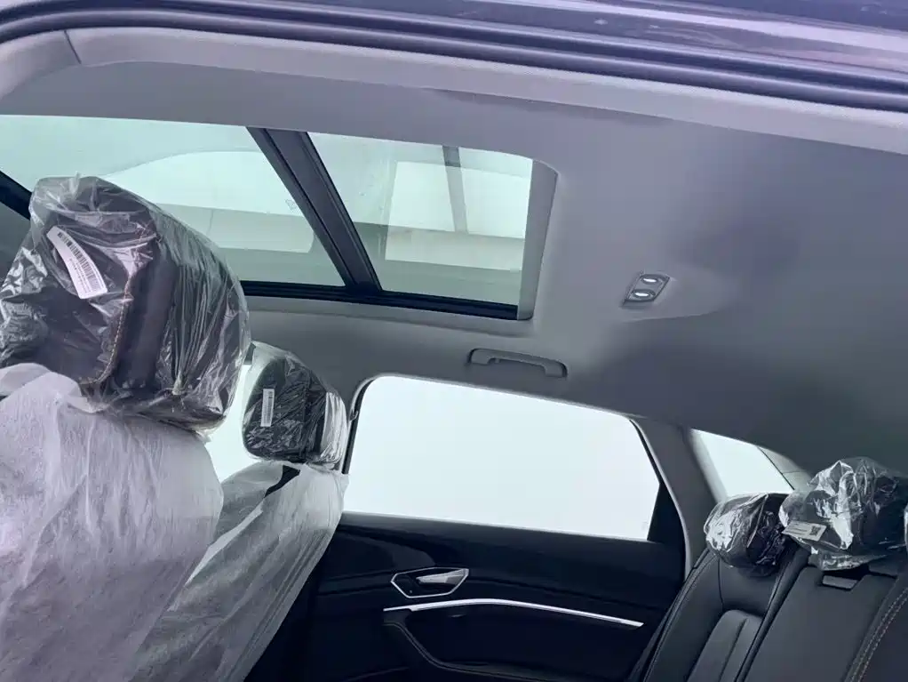 Audi e-tron 2026 2021 50 quattro Luxury