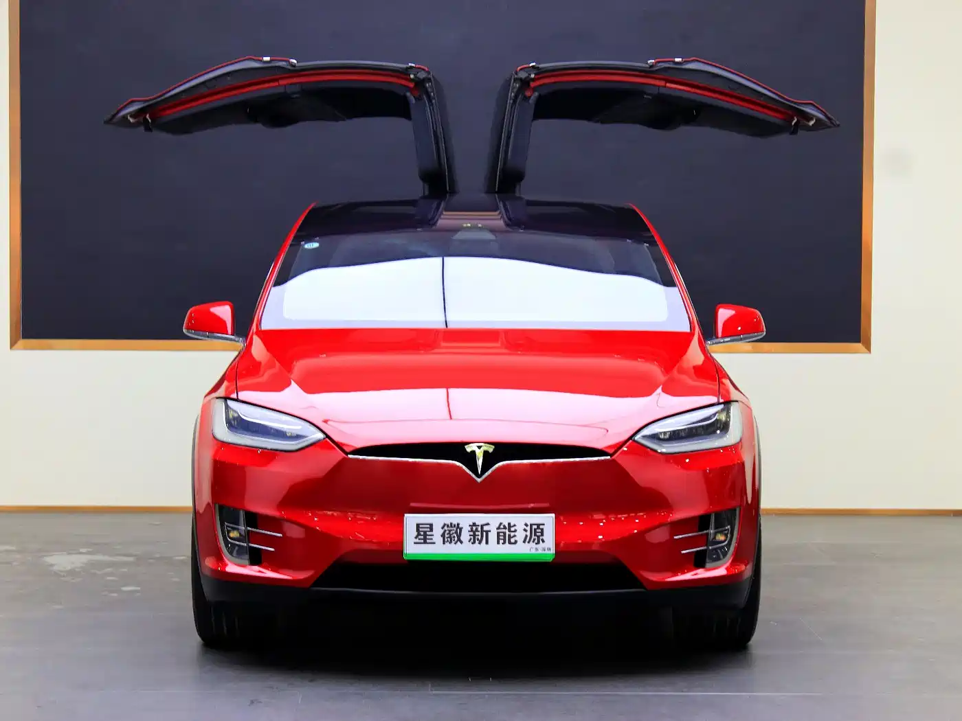 TESLA MODEL X