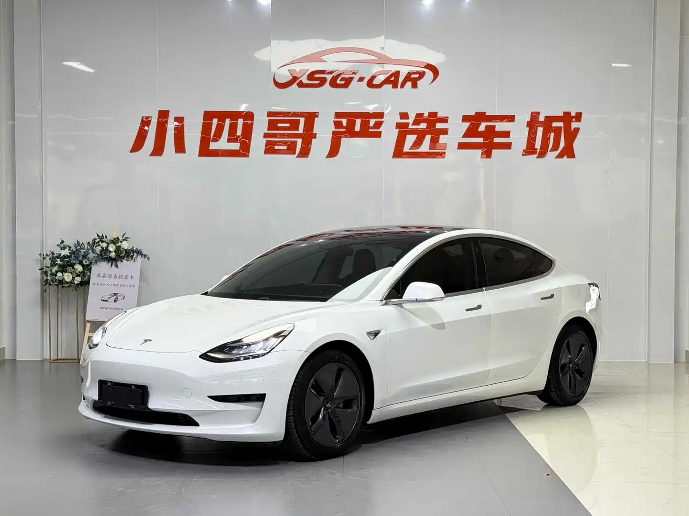 Tesla Model 3 2019 Standard Range Rear-Wheel Drive Upgrade
