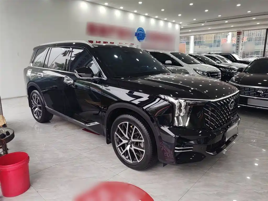 GAC Trumpchi Trumpchi GS8 2022 Pilot Series 2.0TGDI 2WD Luxury Smart Connect Edition (7-Seater) фото 4