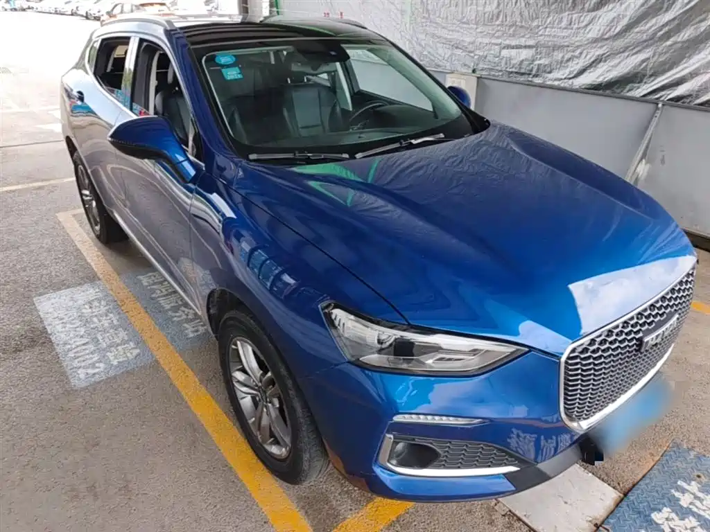 Haval F5 2019 National Trend Edition 1.5T iStyle China VI фото 4