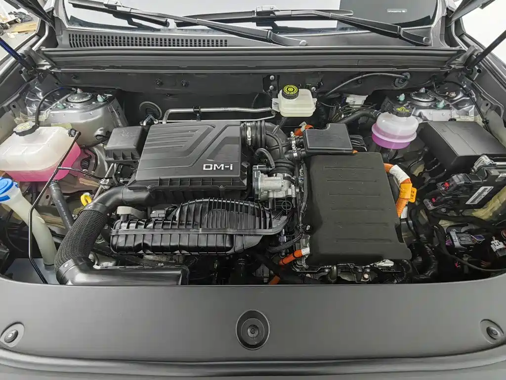 BYD Song Pro New Energy 2025 2024 Glory Edition DM-i 110KM Excellence