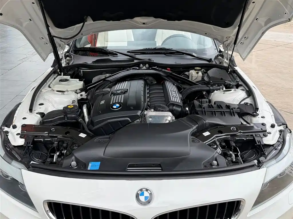BMW Z4 2010 sDrive30i Leading Model фото 6