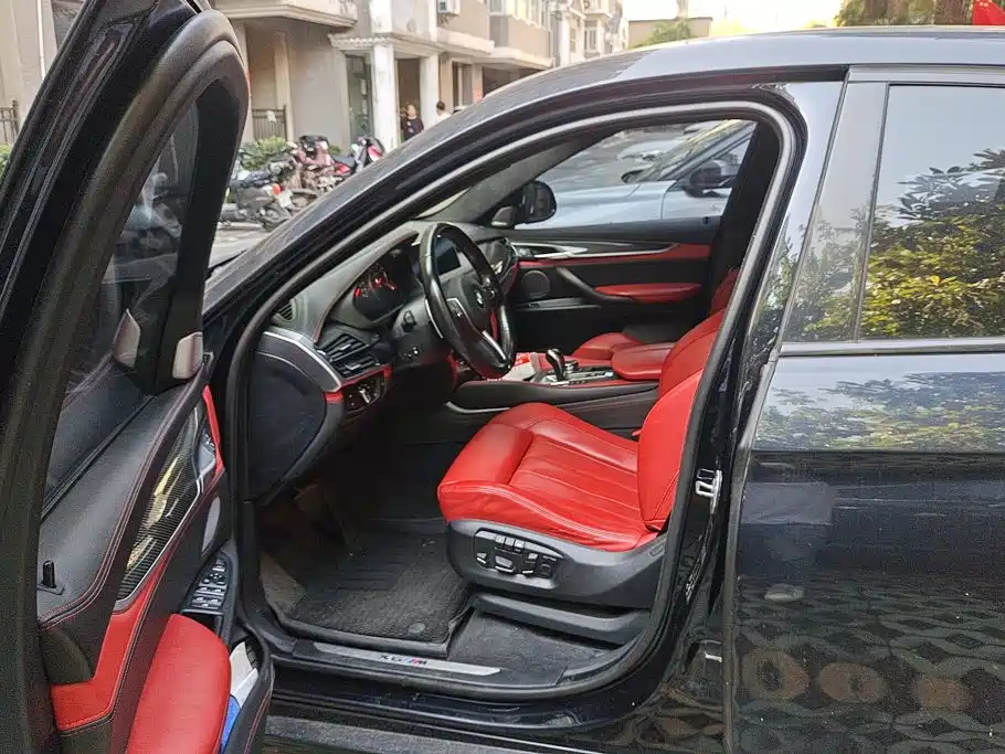 Photo 9 - BMW X6 M