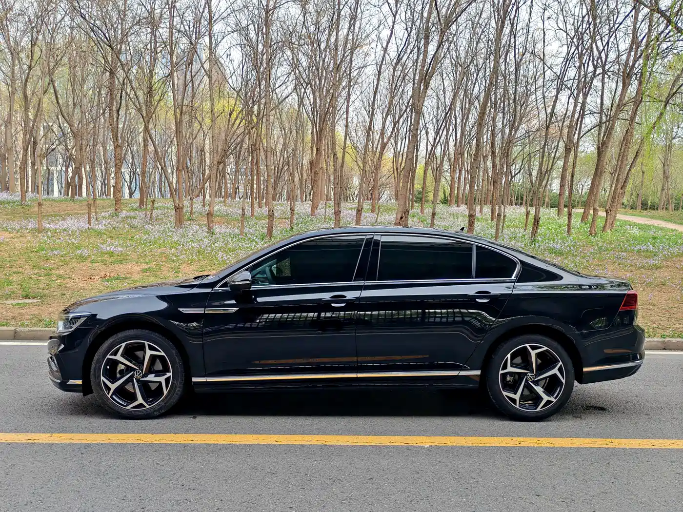 Volkswagen Magotan 2025 Facelift Public Edition 330TSI DSG Luxury фото 3