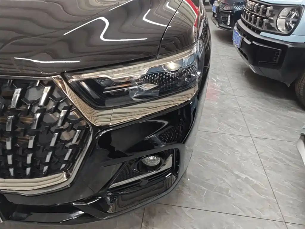 Haval H6 2023 National Trend Edition 1.5T Automatic Champion фото 24