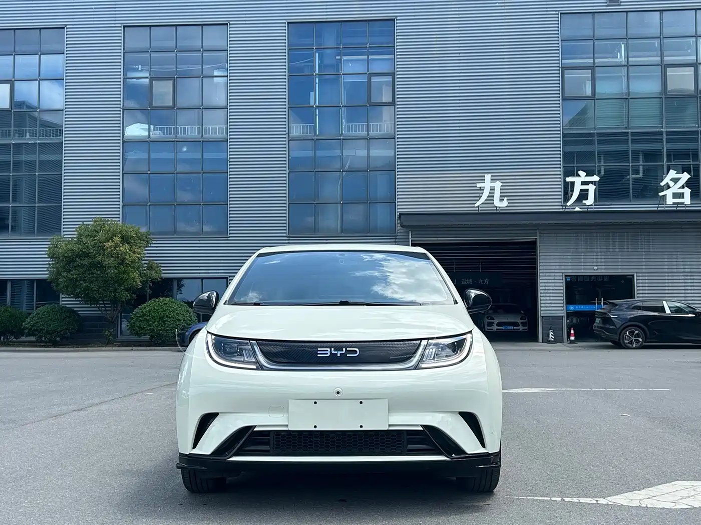 BYD Dolphin 2024 Glory Edition 420km Freedom Edition фото 2