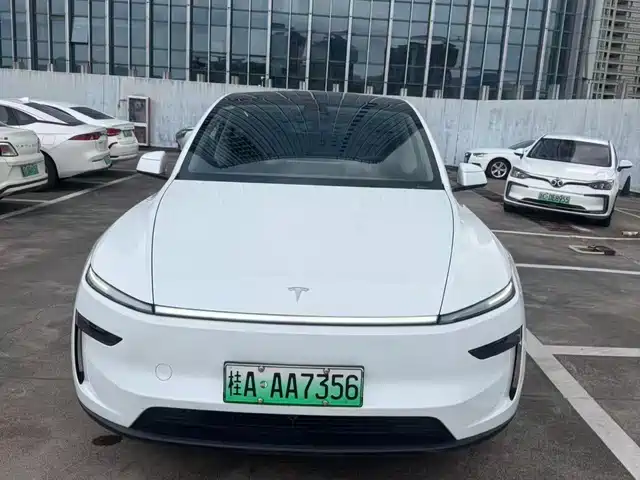 Tesla Model Y Задний привод, Премьерная
