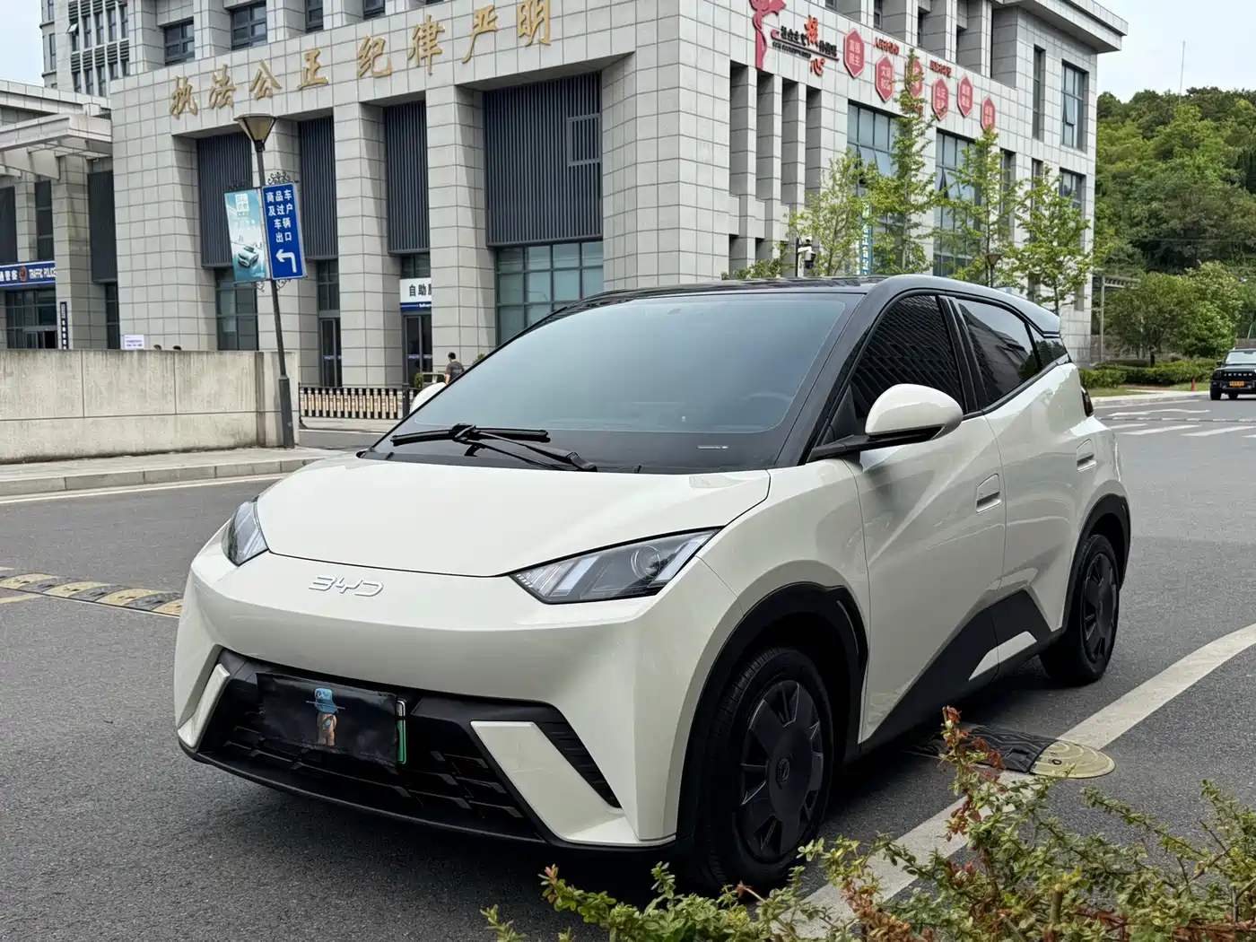 BYD Seagull 2024