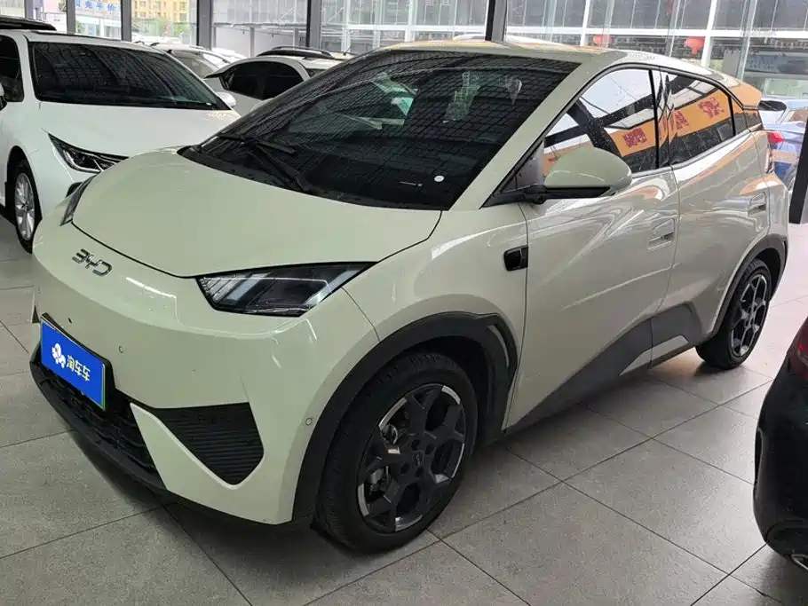 BYD Seagull 2025 Smart Drive Edition 305km Freedom Version