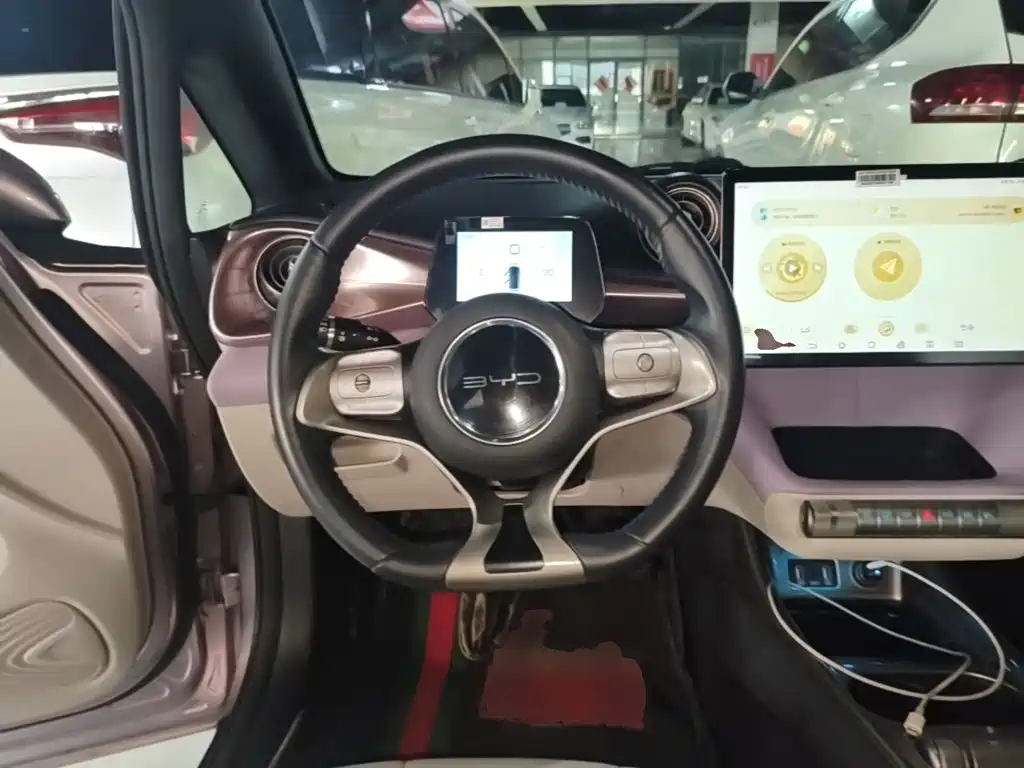 BYD Dolphin 2021 2021 Model 405km Fashion Edition