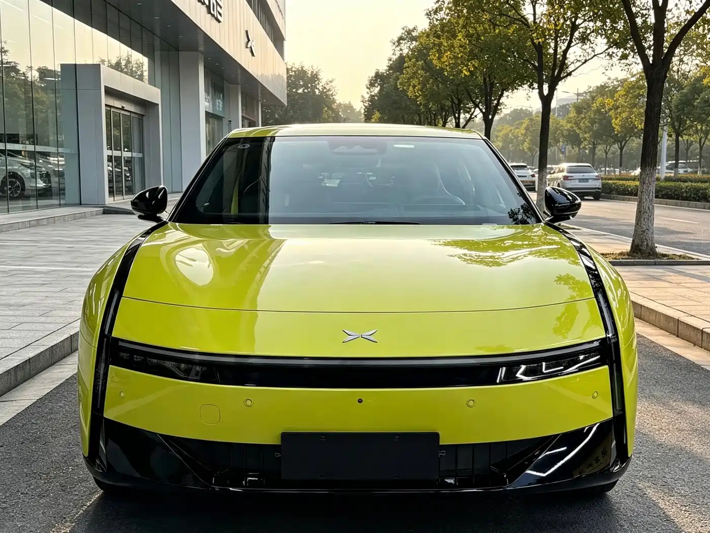 Фото 3 - XPeng P7