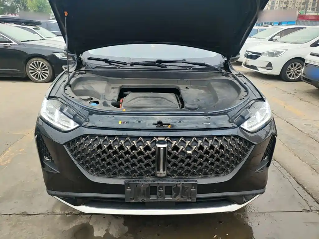 WEY Macchiato DHT-PHEV 2022 2021 1.5L Master Edition