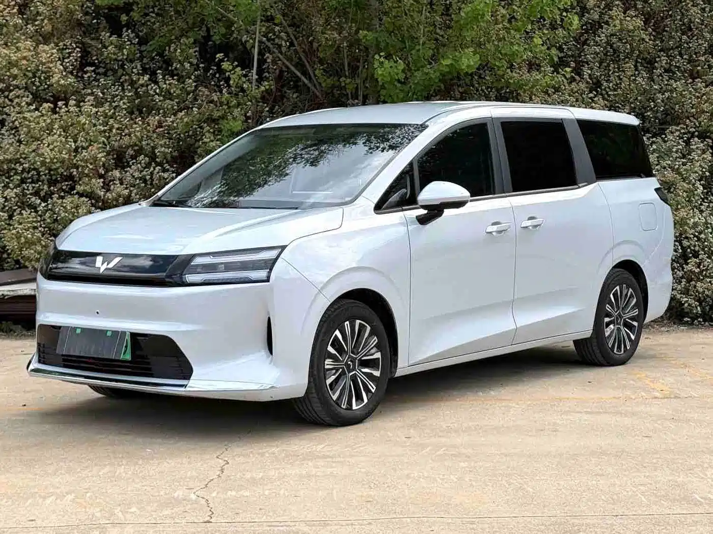 Wuling Motors Xingguang 730 New Energy 2025 2025 Model Pure Electric Base Version