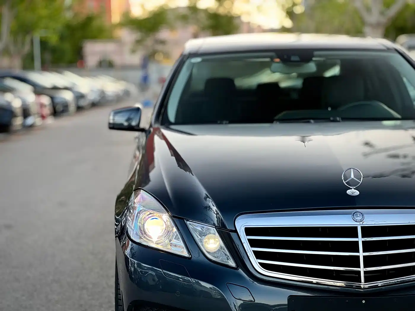Mercedes-Benz E-Class 2010 E 300 L Fashion фото 42
