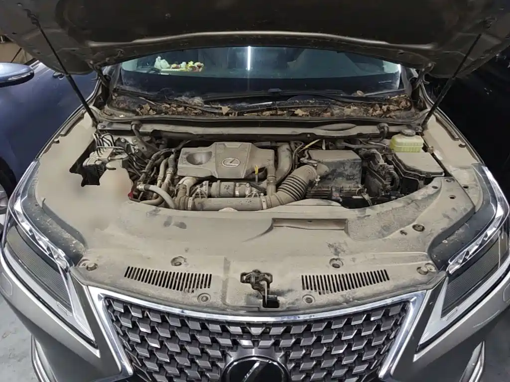 Фото 20 - Lexus RX
