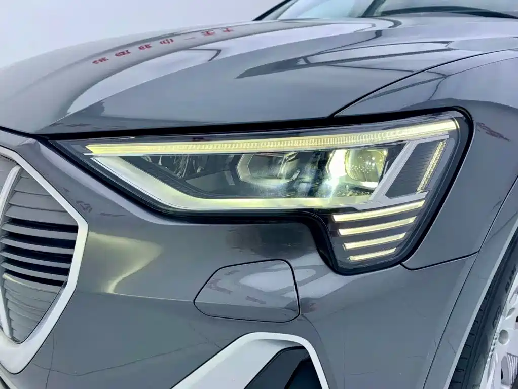 Audi e-tron 2026 2021 50 quattro Luxury