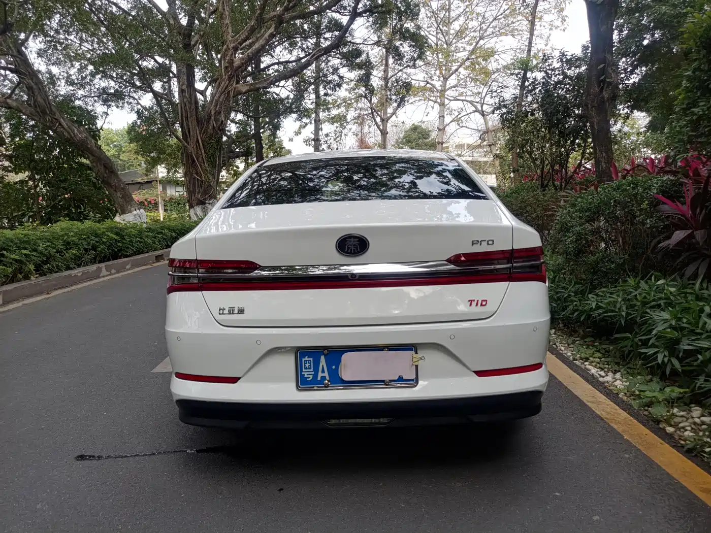 BYD Qin Pro 2019 Super Energy Edition 1.5TI Auto Smart Connection Sharp Fashion Type China V фото 3