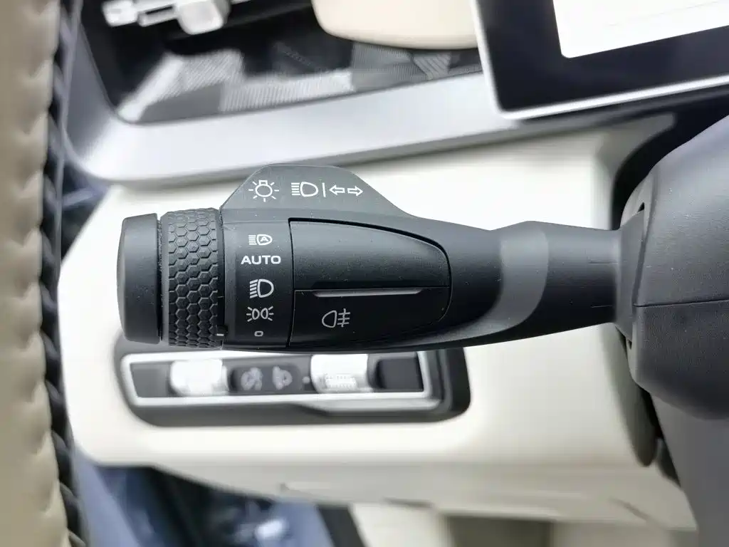 Фото 21 - Geely ICON