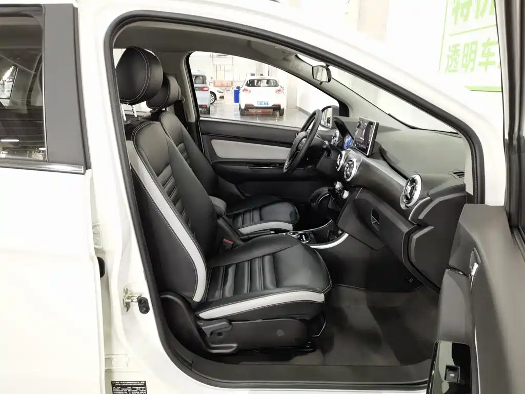 BAIC New Energy EC5 2021 2019 New Trend Edition