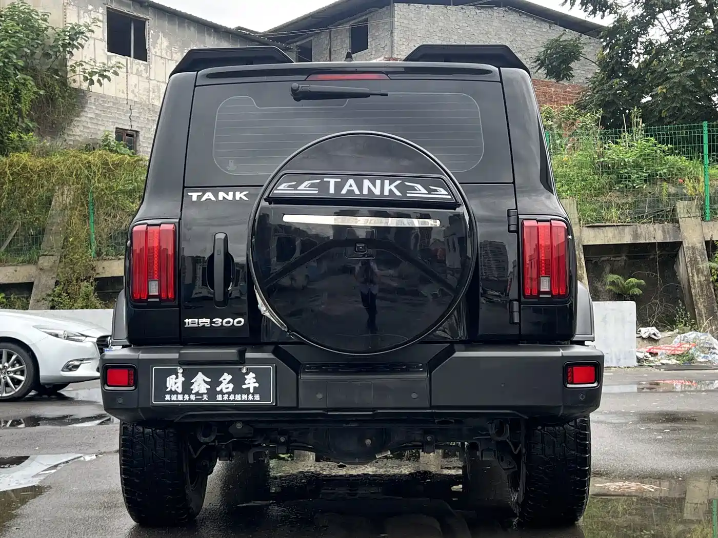 Tank 300 2021 2021 Off-road Version 2.0T Conqueror