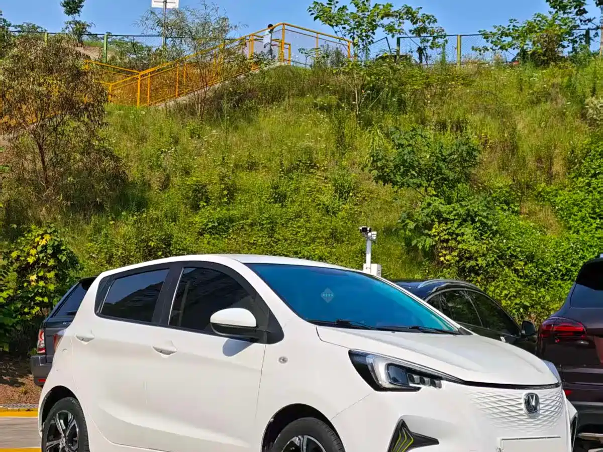 Changan Benben E-Star 2020 2020 Model Happy Edition (LFP 31.18kWh)