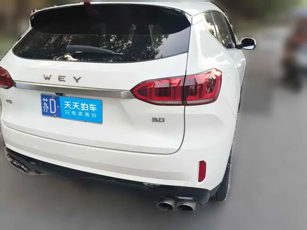 WEY VV6 2020 2021 2.0T 2WD Smart Protection+