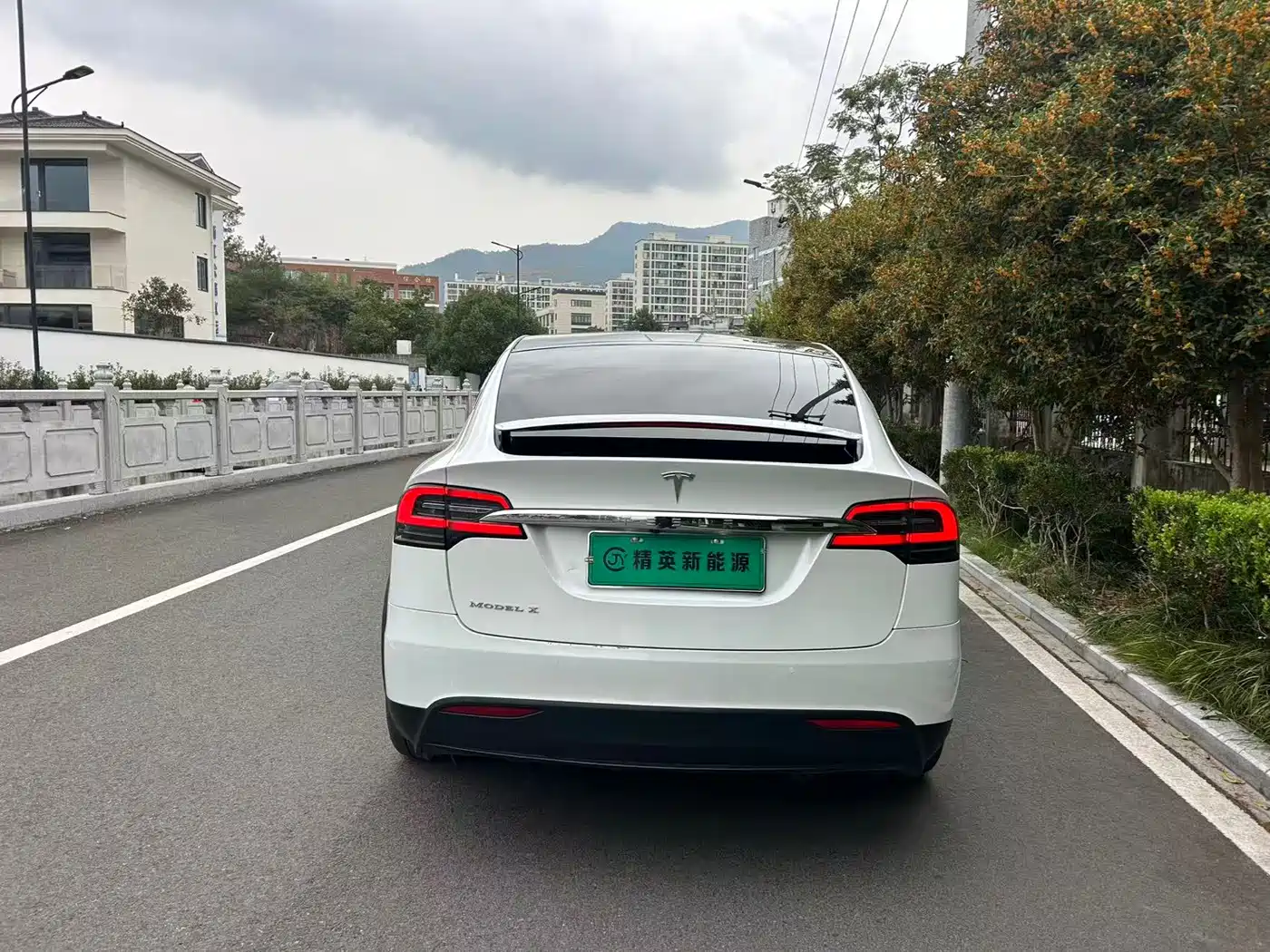 TESLA MODEL X