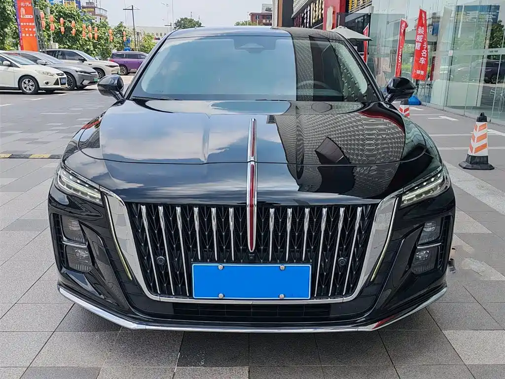 Hongqi H5 2025 2.0T Automatic Flag Celebration 500,000 Units Anniversary Edition фото 2