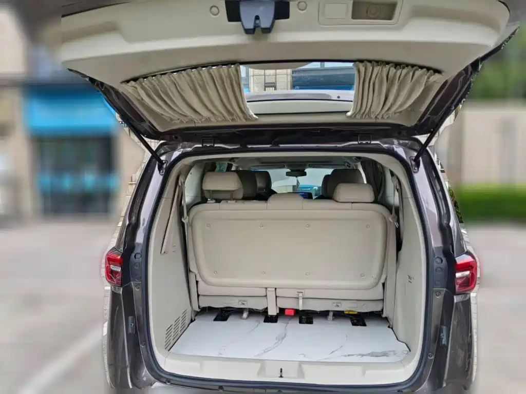 Фото 4 - Buick GL8