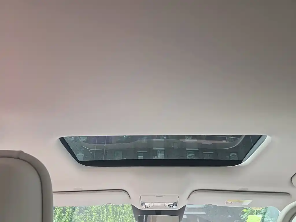BYD Xia 2025 2025 DM-i 1.5T 180km Surpass Edition