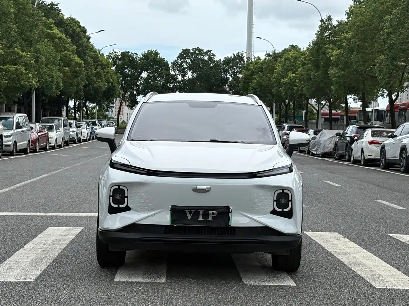 Geely Geometry E Firefly 2024 2024 Model 301km Starlight