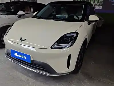 Wuling Bingo S