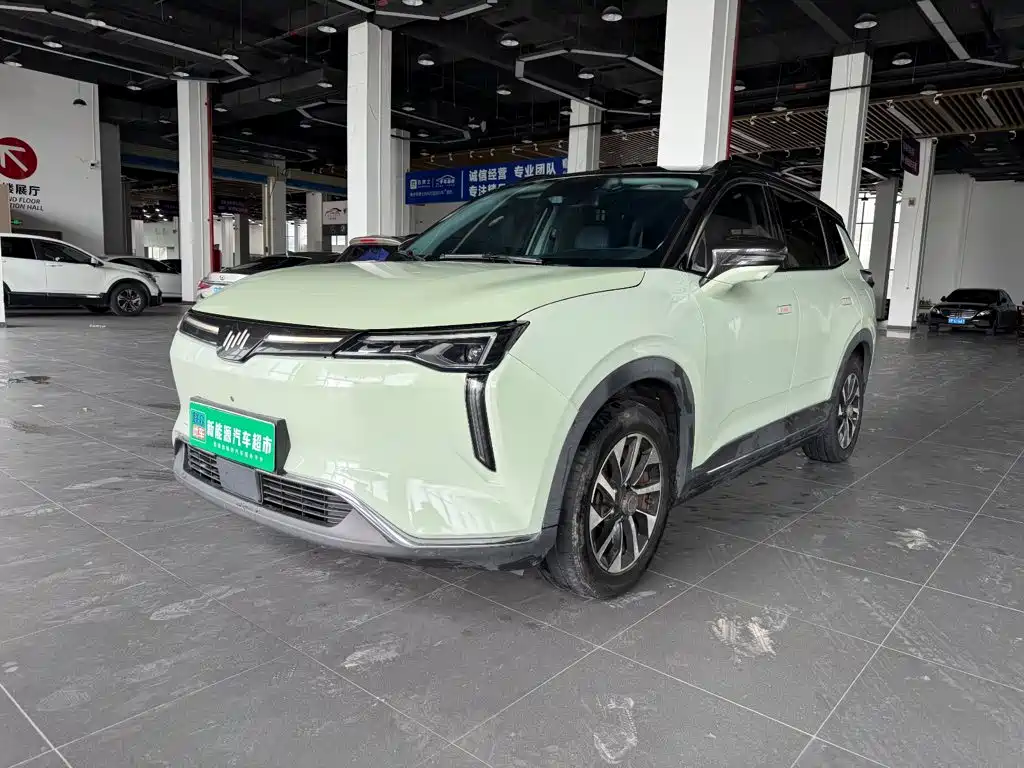 Weltmeister W6 2021 2021 520km NEX Explorer Edition