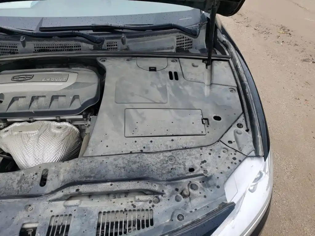 Geely Borui 2017 2016 2.4L Comfort Edition