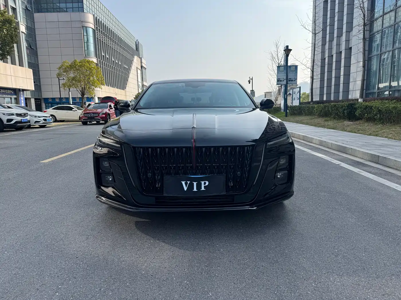 Hongqi H5 2025 1.5T DCT Mystic Shadow фото 3