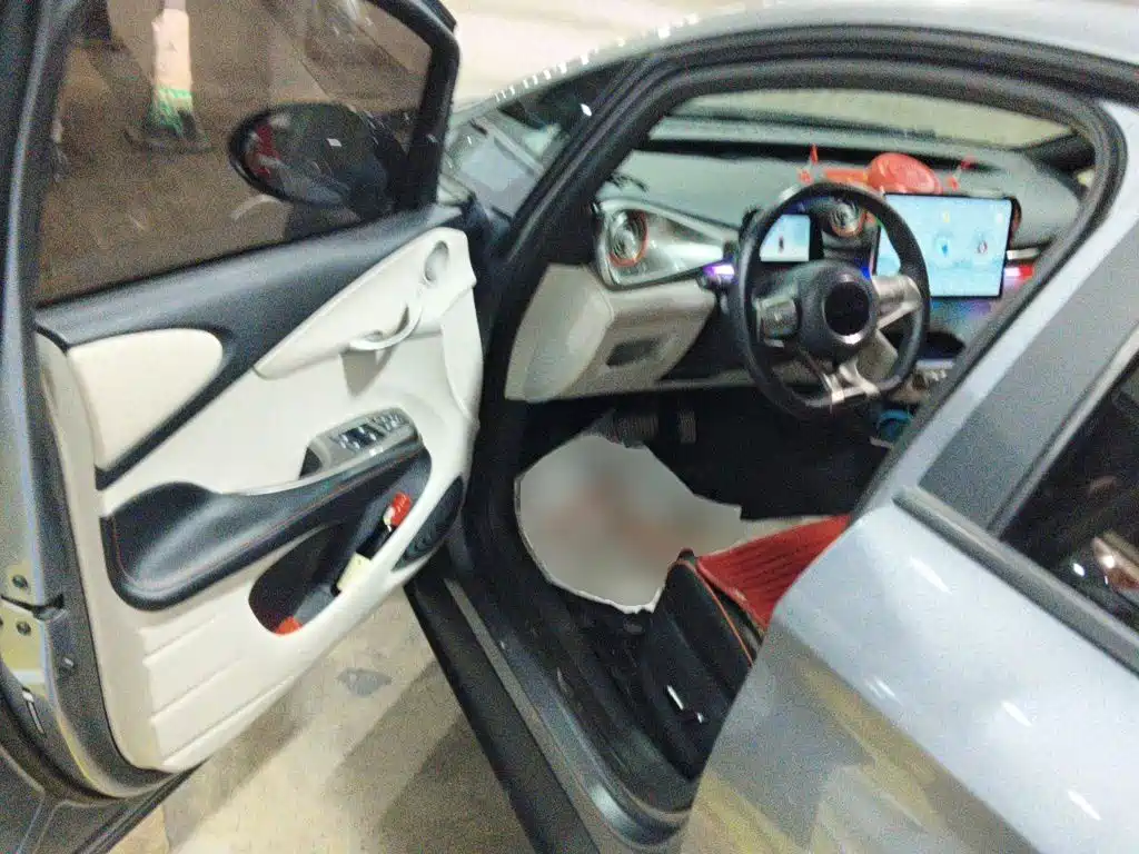 Photo 17 - BYD Dolphin