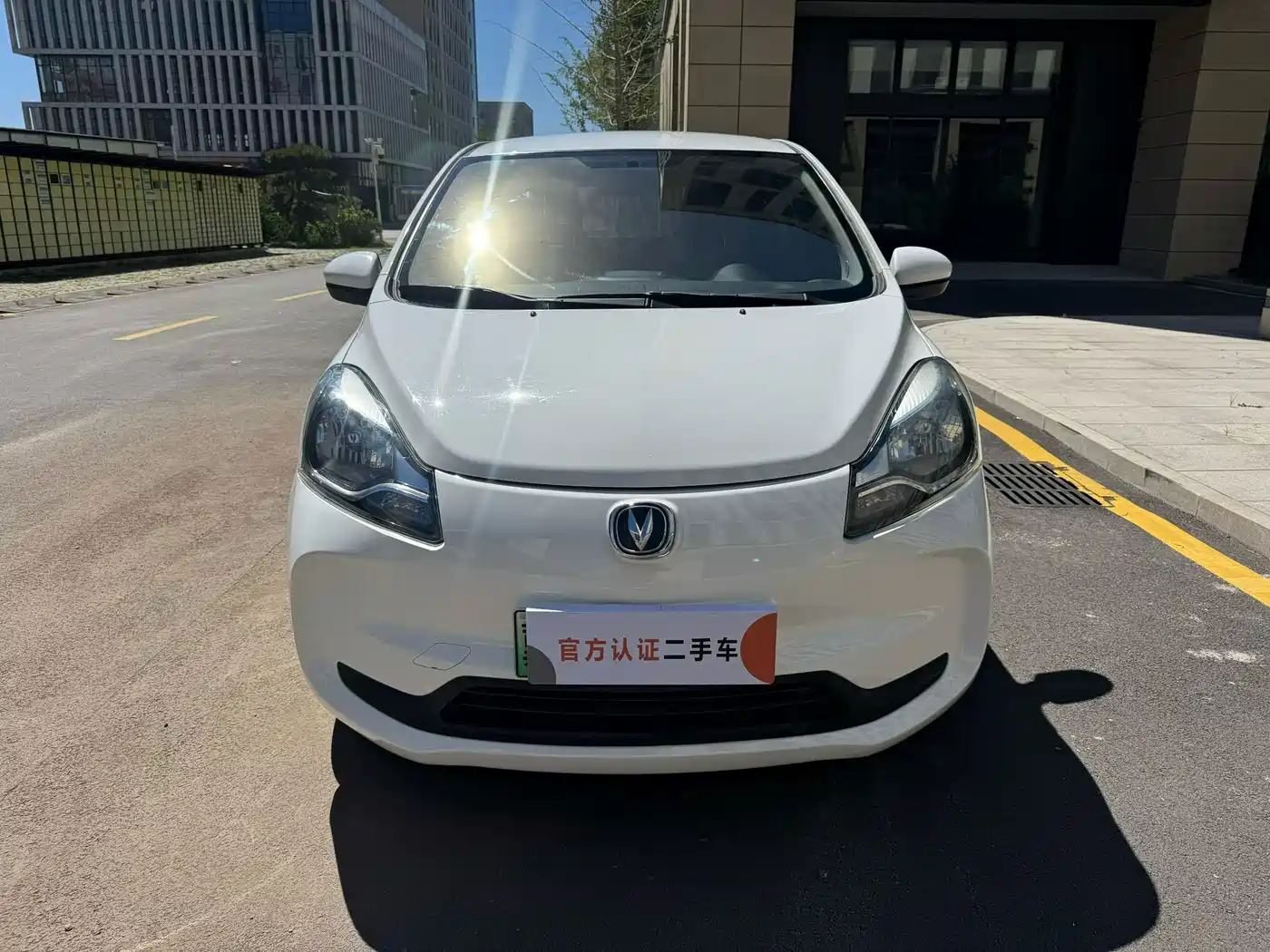 Фото 2 - Changan Benben E-Star