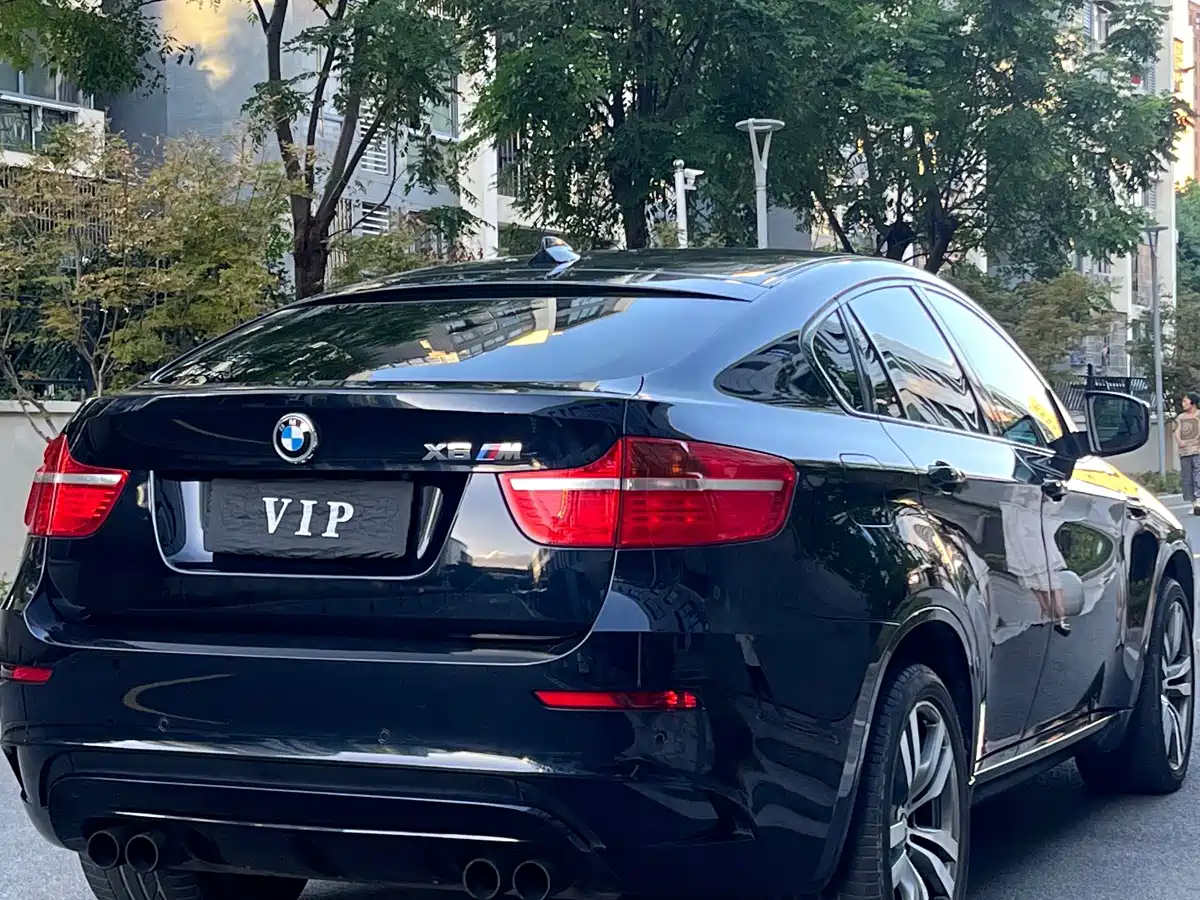 BMW X6 M 2011 2010 X6 M