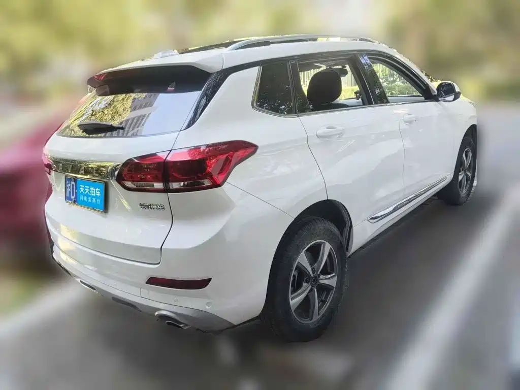 Haval H6 Coupe 2020 2019 1.5T Auto 2WD Luxury Smart Edition China VI