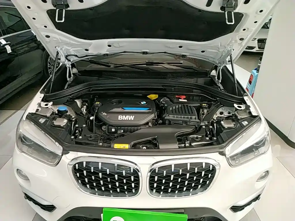 BMW X1 New Energy 2019 2018 xDrive25Le Luxury Model