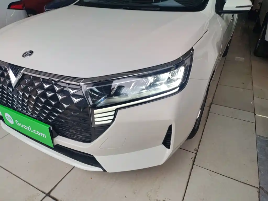 Venucia D60 2025 2023 PLUS 1.6L XL CVT Joy Leader Edition