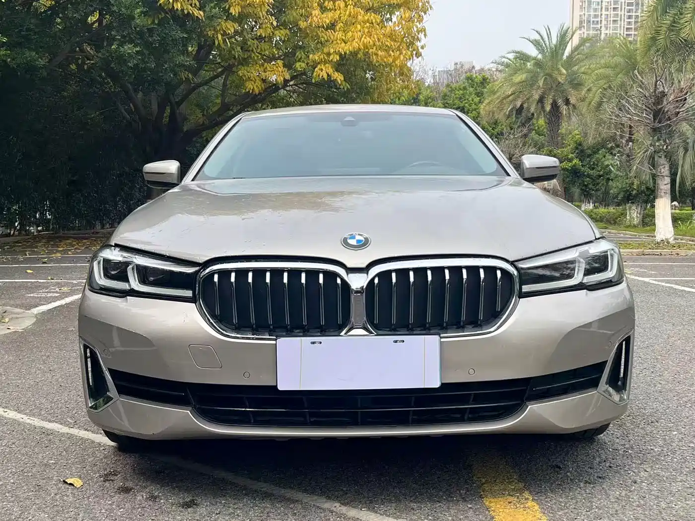 BMW 5 Series 2021 530Li Leading Luxury Package фото 2