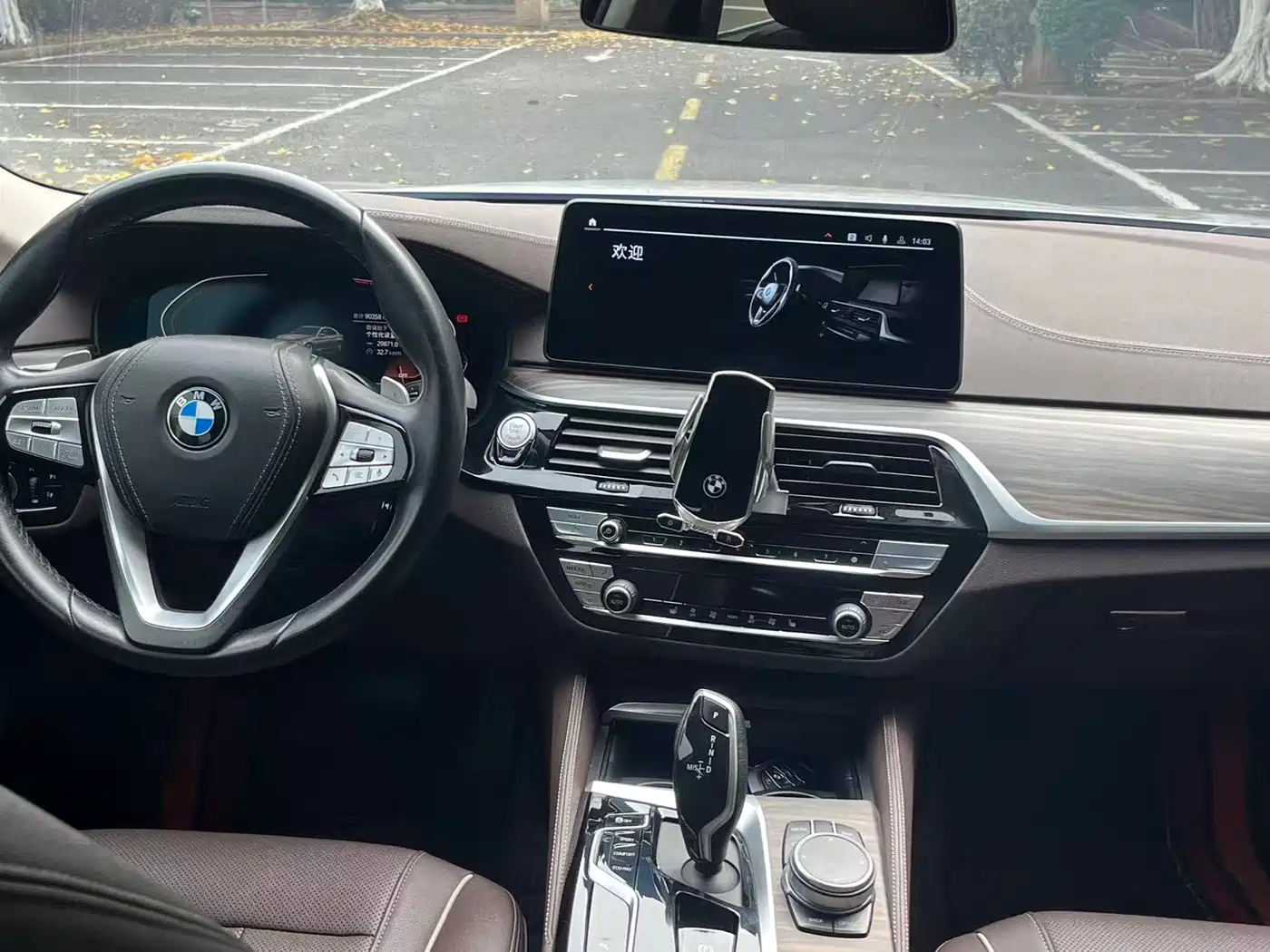 BMW 5 Series 2021 530Li Leading Luxury Package фото 5