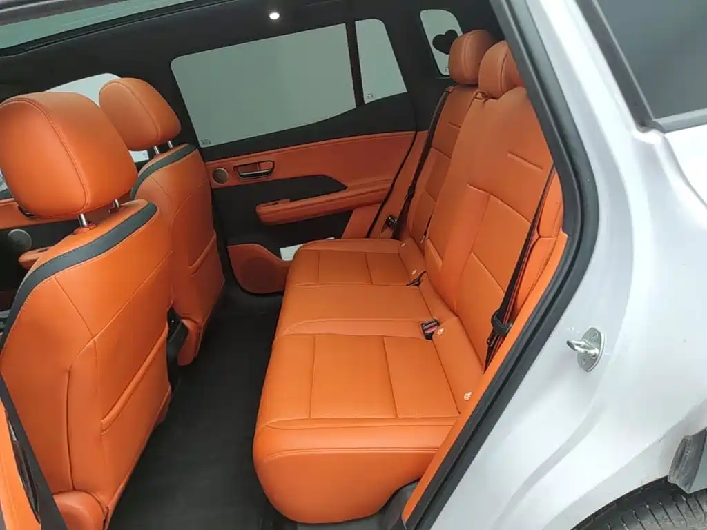 Фото 17 - Toyota BoZhi 3X