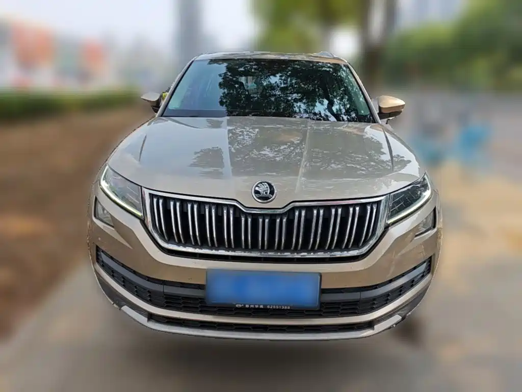 Фото 5 - Škoda Kodiaq