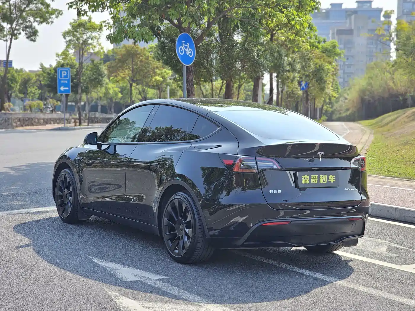 TESLA MODEL Y