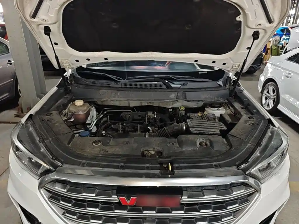 Sinotruk VGV VGV U70 2021 2020 1.5T Auto Smart Luxury 5-seater